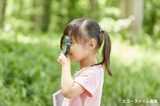 家庭菜園でできる!子どもと楽しむ春の自然観察