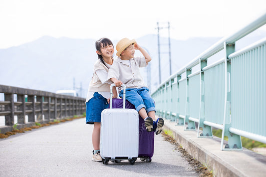 旅行中の水やりはどうする?不在時の水やり方法を紹介