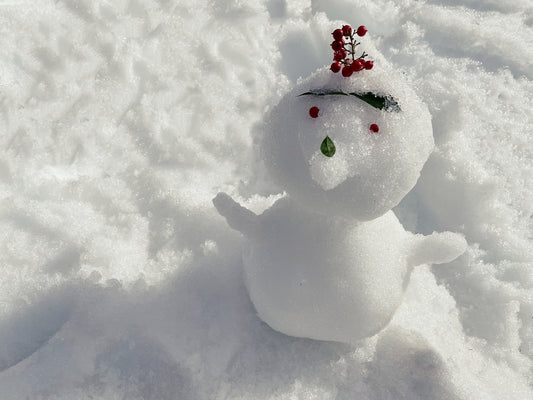 大雪が農作物に与える影響と対策方法