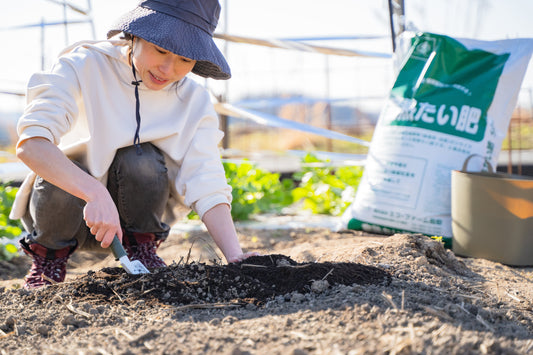 堆肥の種類を1つずつ解説!~植物性堆肥編~