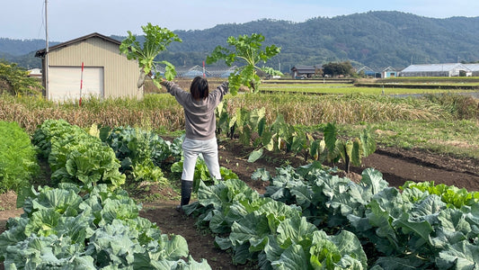 【年末のご挨拶】皆様へ、温かい感謝の気持ちを込めて