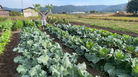【スタッフの日常】エコ・ファーム鳥取の畑チャレンジ【野菜栽培記録】