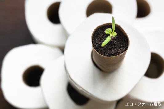 トイレットペーパーの芯を育苗ポットに！エコでかんたん再利用術