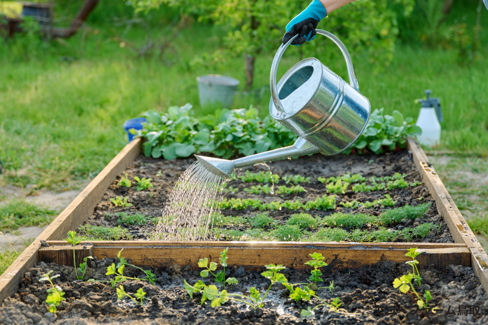野菜づくりはどれくらいの面積が必要？