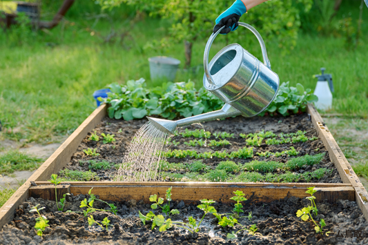 野菜づくりはどれくらいの面積が必要？