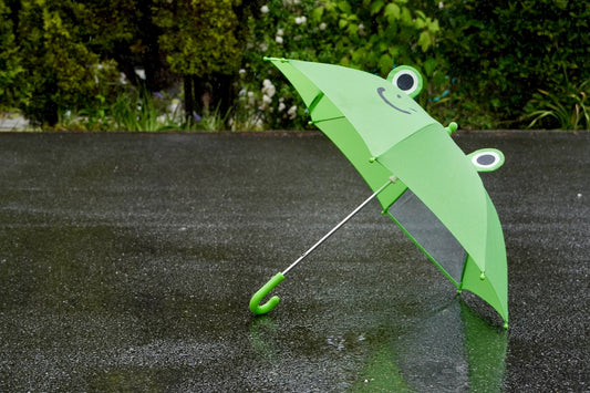 梅雨の家庭菜園で失敗しないための5つの注意点
