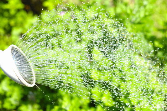 水やりの困りごとを解決！家庭菜園アイデアを紹介
