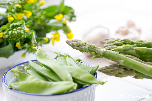 今が旬！4月に食べたい春野菜とおすすめレシピ